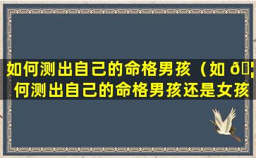 如何测出自己的命格男孩（如 🦄 何测出自己的命格男孩还是女孩）